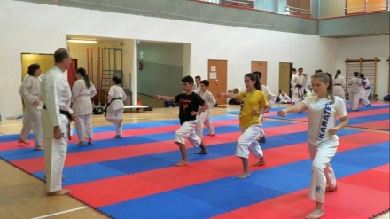  - SPORTING KARATE SHOTOKAN